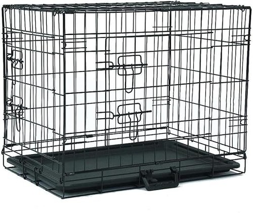 Puppy small dog cat training - puppy/small,