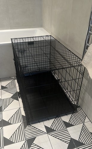 Cardys pet dog - cardys,
