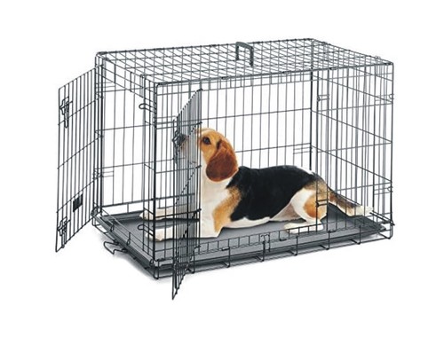 Dog cage pet puppy - dog,