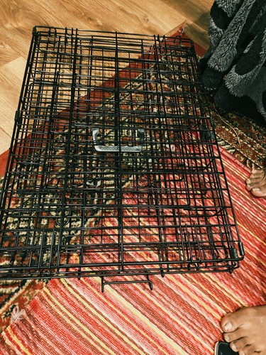 Folding metal dog cage - folding,
