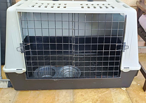 Hard sided plastic dog - hard-sided,