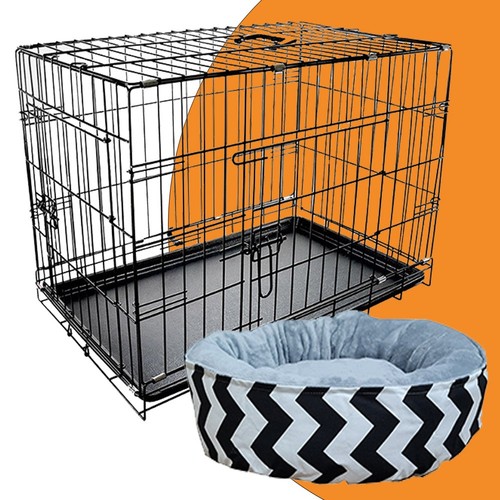 Confidence pet dog - pet, 2