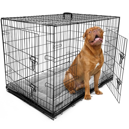 Dog cage puppy - dog,