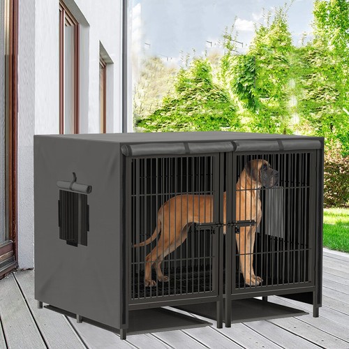 Xxxl jumbo dog - dog, pet