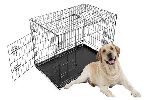 Foxhunter inch pet dog - foxhunter,