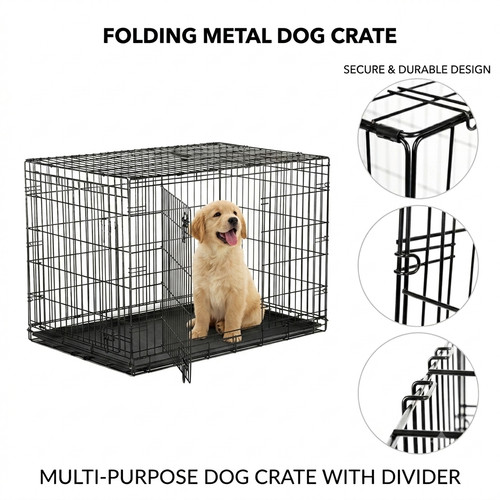 Dog cage puppy pet - dog,