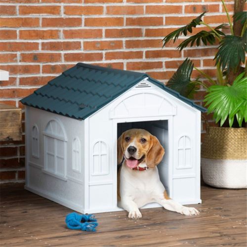 Dog crate - dog,