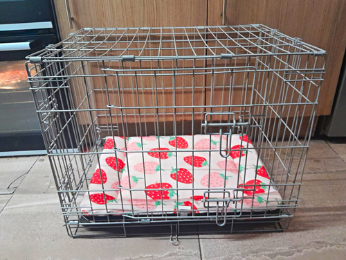 Folding steel wire dog crate - wire,