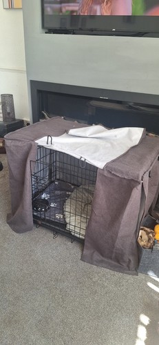 Large puppy dog training - puppy/,