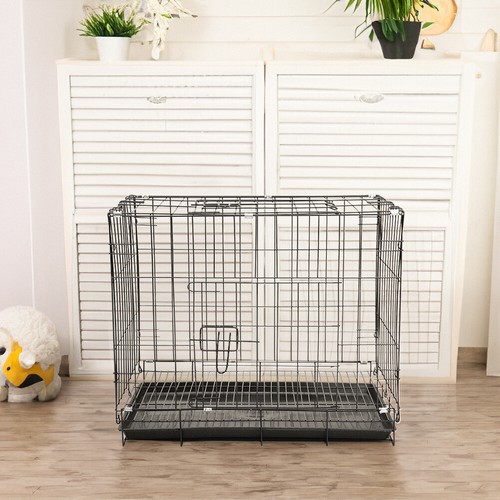 Black dog cage - dog,
