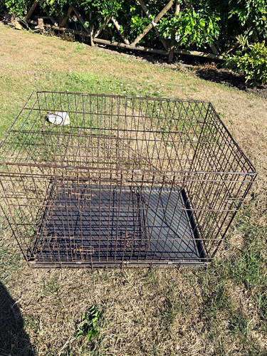 Folding steel wire - steel, dog