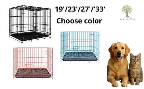 Dog cat puppy - dog, pet