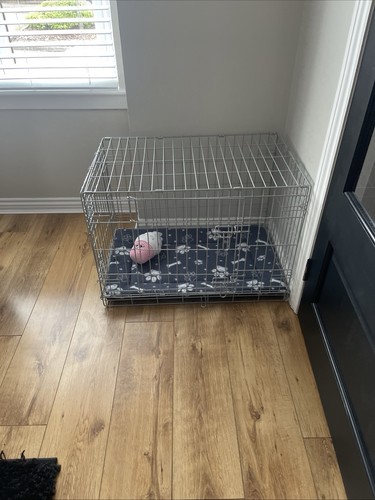 Pet crate - pet,