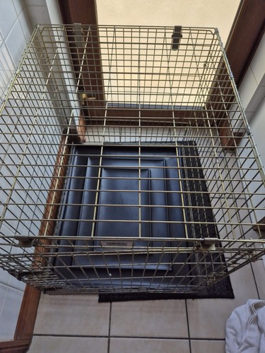Large dog crate - dog, pet