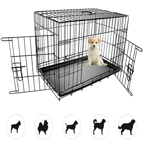 Dog pet training transport - pet,