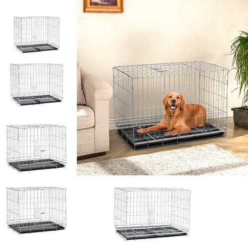 Small medium dog puppy - dog,