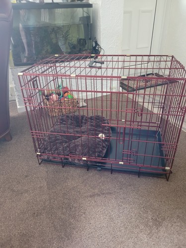 Puppy crate with cushion - crate, side